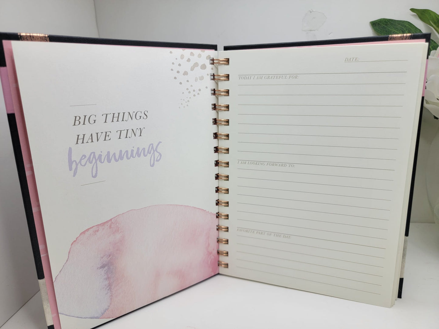 Gratitude Journal